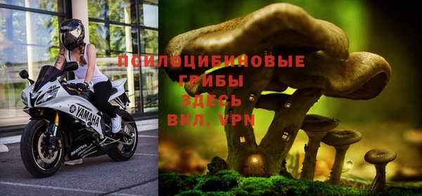 дживик Волосово