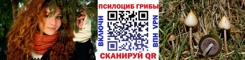 Галлюциногенные грибы MAGIC MUSHROOMS  закладки  KRAKEN как войти  Чудово 